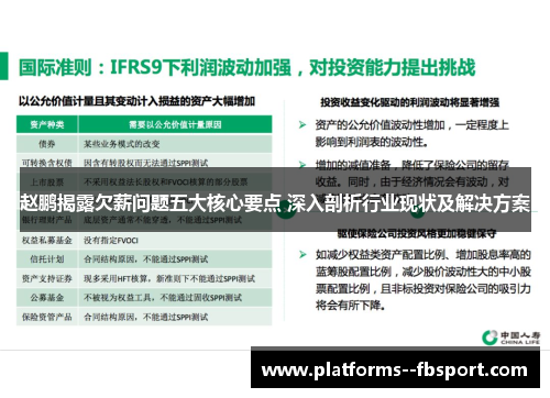 赵鹏揭露欠薪问题五大核心要点 深入剖析行业现状及解决方案