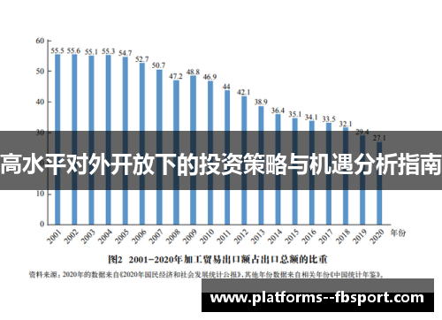 高水平对外开放下的投资策略与机遇分析指南