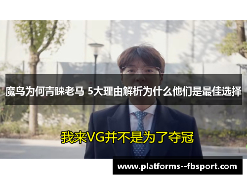 魔鸟为何青睐老马 5大理由解析为什么他们是最佳选择
