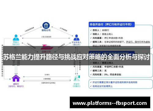 苏格兰能力提升路径与挑战应对策略的全面分析与探讨