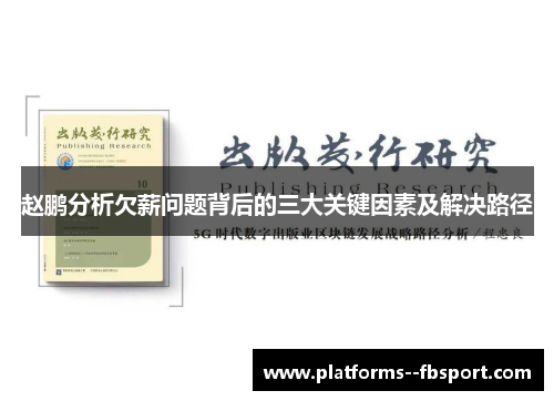 赵鹏分析欠薪问题背后的三大关键因素及解决路径